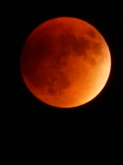 Lunar eclipse, 9/27/2015, Albuquerque, NM.
Copyright 2015 Madison Link. Used by permission.
